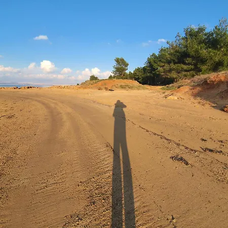 Apartment Bellevue *