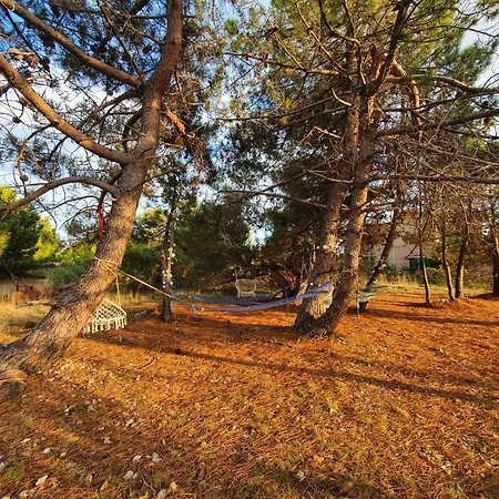 Bellevue Apartament *