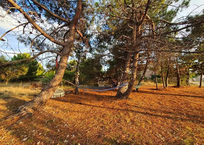 Bellevue Apartamento *